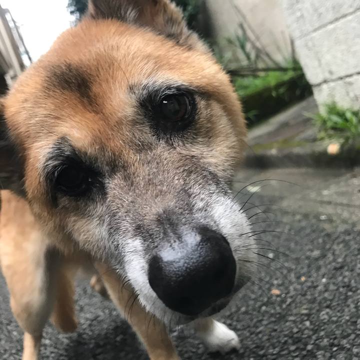 942ac59c ddb5 4090 89d1 3073dc0437a6 1535928019853