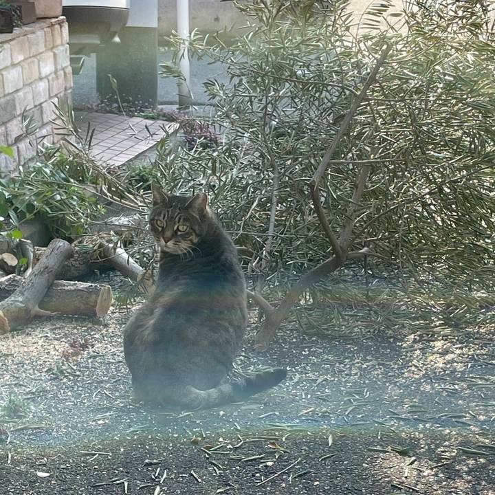 942ac810 01b3 4472 9cf1 f8bc5aff7396 1609040356832