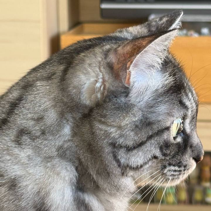 942b17b3 8df6 4ea6 a164 1e54e312e05b 1767447306748