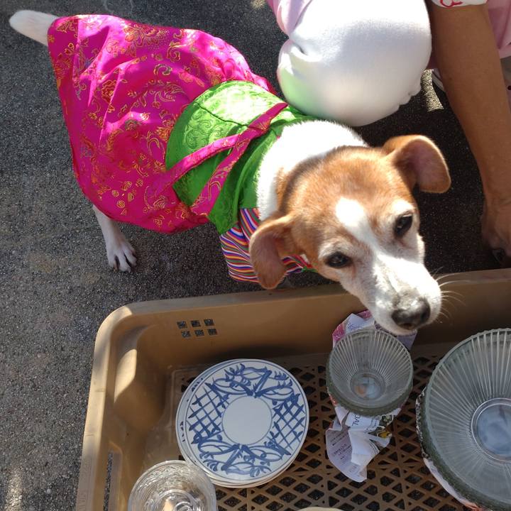 942b3846 3fdd 47fd aad5 35885f58c116 1763883666270