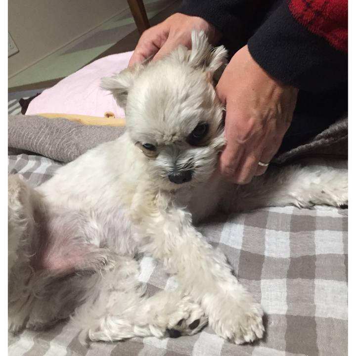 942b473b 0724 4f44 8c66 b092160febeb 1518736232809