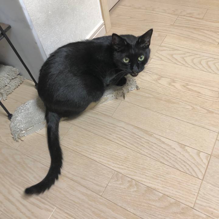 942b57a8 db08 4469 9670 efbc6dac8891 1604835891130