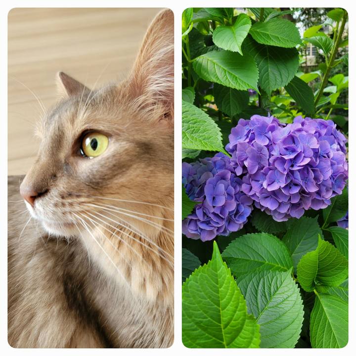 942b7244 7ff2 4534 9452 87b574f869c6 1655089108555