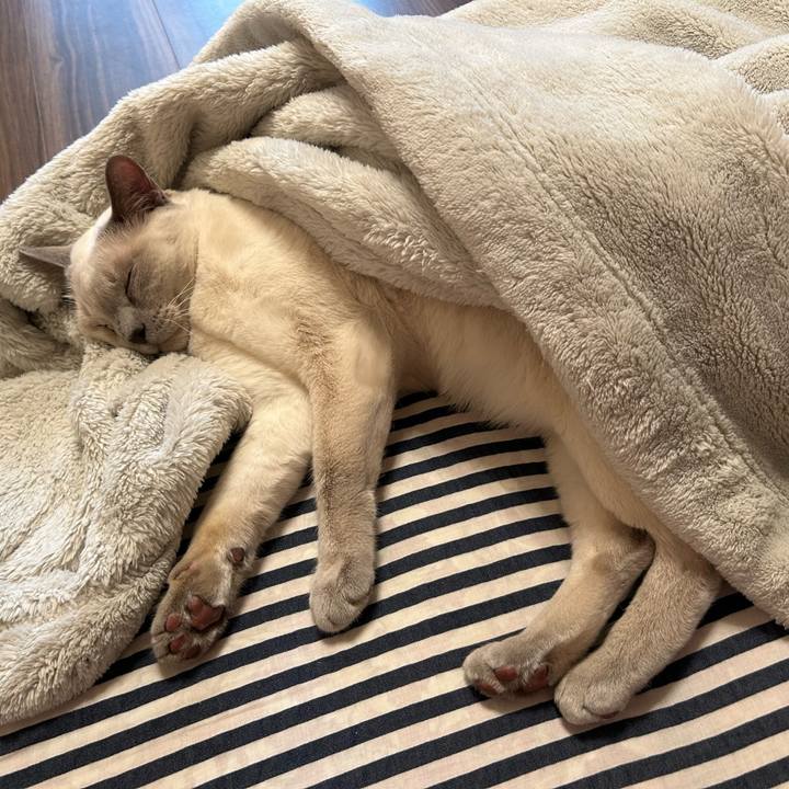 942bbe48 3aa2 4511 97ad 0ba4cddb0d6e 1737671770209