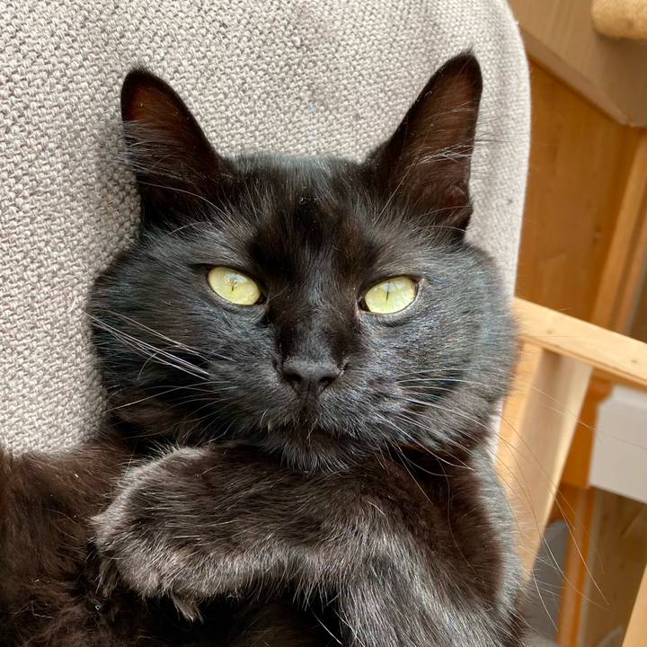 942be98a eb1b 4ad4 8d41 bda1fb5e43df 1767147181572