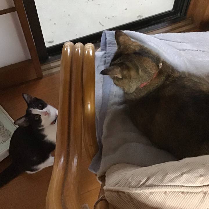 942bfc00 d922 454d bfec 996139cdeabd 1629191411554