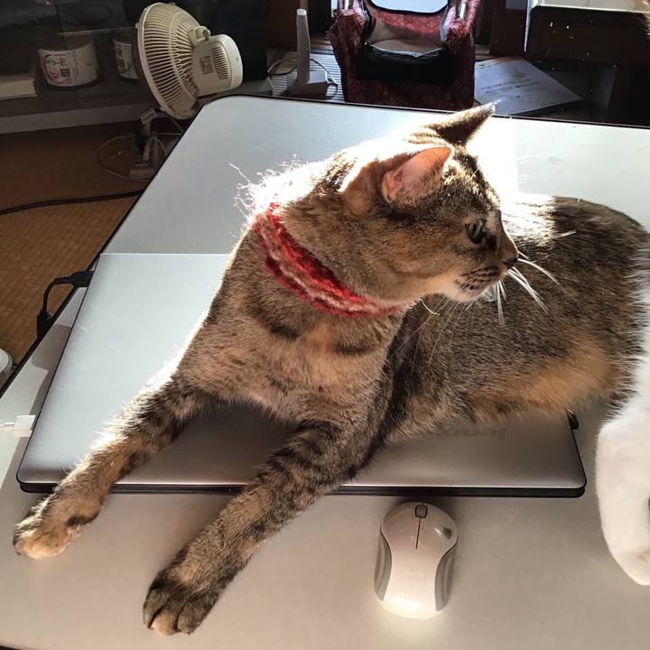 942c08c6 f5e8 45e7 aef6 c6b77373a17c 1632393639537