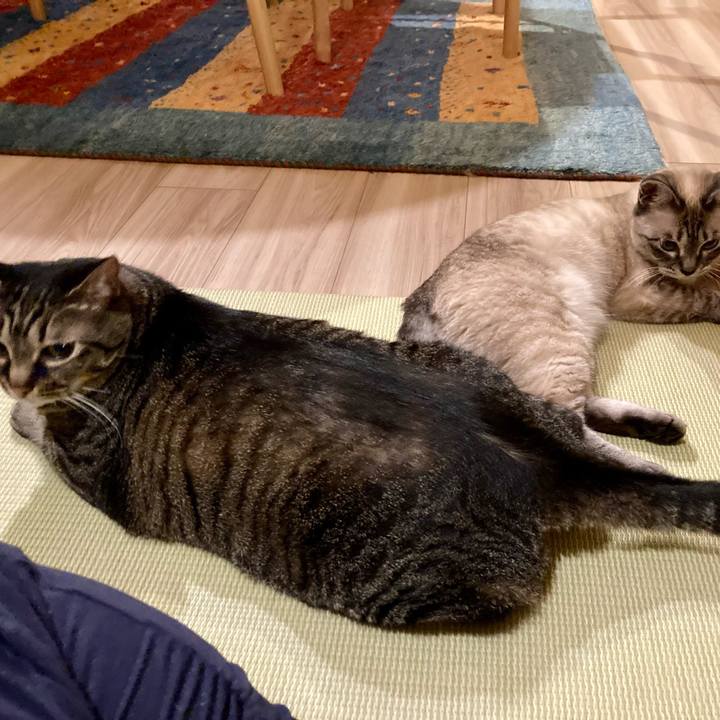 942c377c d8f9 45fa a9ea f43ab1994805 1655641345741