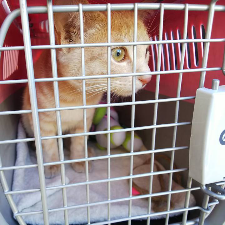 942c40de a7f8 4075 939f 1f490e248276 1543021753138