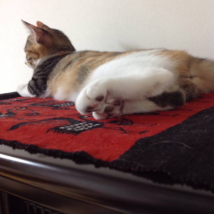 942c50df f141 4cc1 a642 cb66a99d7083 1630276136694