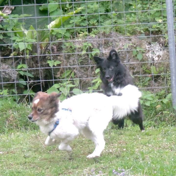 942c54d3 229c 4379 bfc9 8619e2170c8c 1521536860622