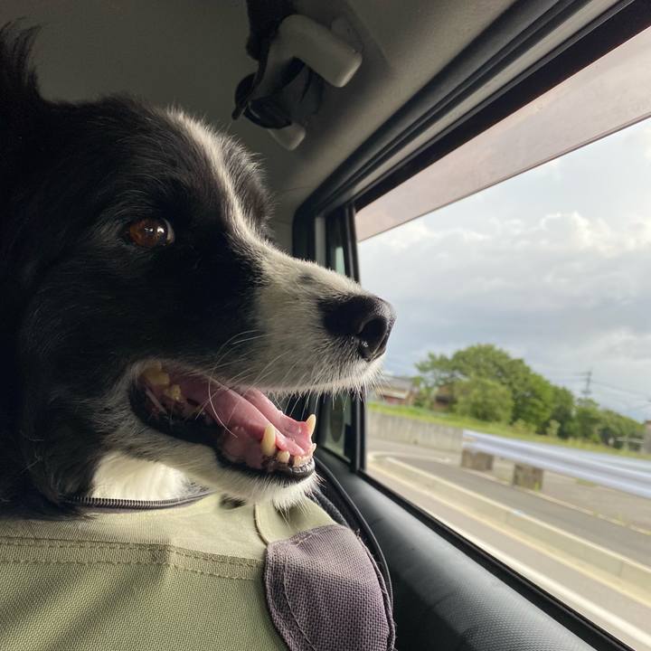 942c8910 7c90 4f39 9521 78fe2a188f23 1656022195179