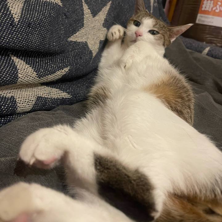 942cc937 f56c 4b60 b383 36895cbfba36 1638531021536