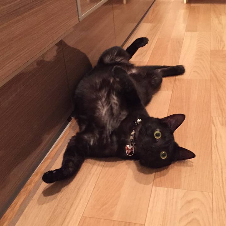 942d08d9 c938 47aa 8619 66dff17ef97c 1522474274700