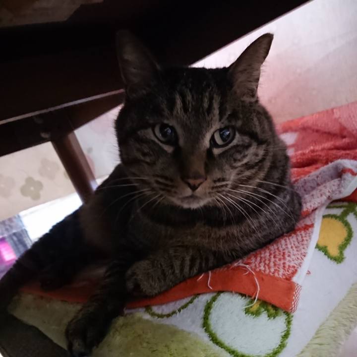 942d1fcd c5e9 47a8 baff ea29fcc82ba5 1642108526087