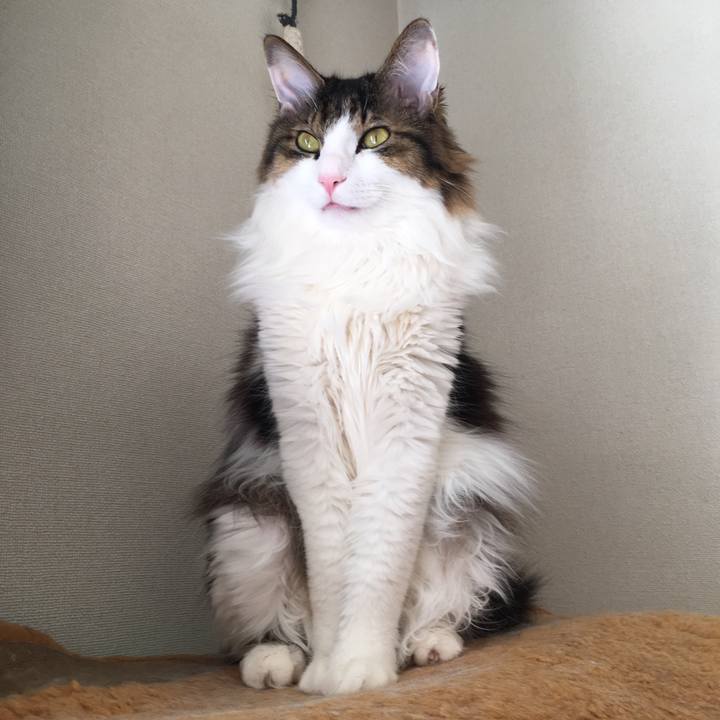 942d7061 ff61 40f5 bb01 fc74ed2a657a 1563628183719