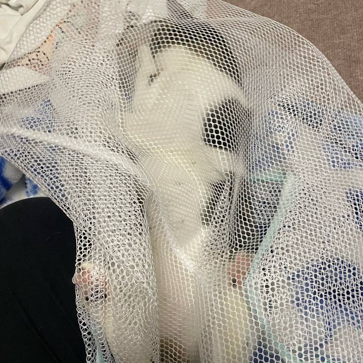 942dc224 88f8 4948 8b2c 5581e7019900 1730913360068