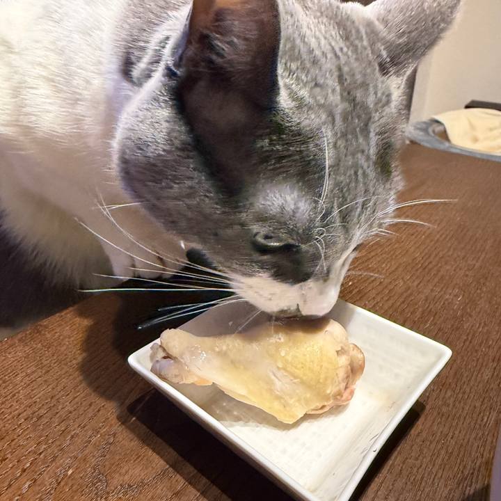 942df9b9 6846 499f 97e0 e57c3c288f9d 1766661843023