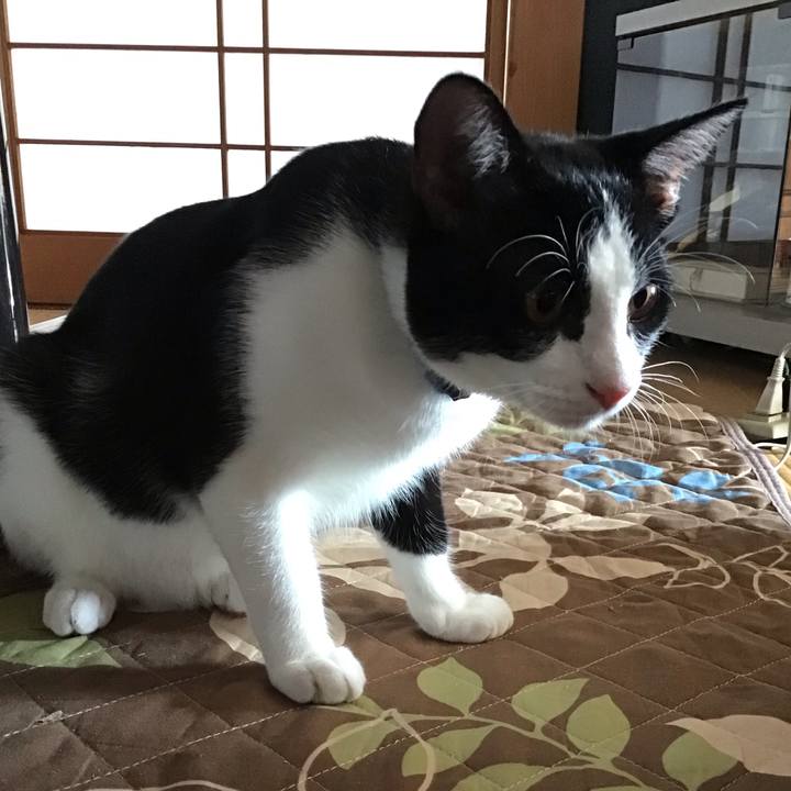 942e0afa 557f 4d84 b82b a172053d68c8 1633410593541