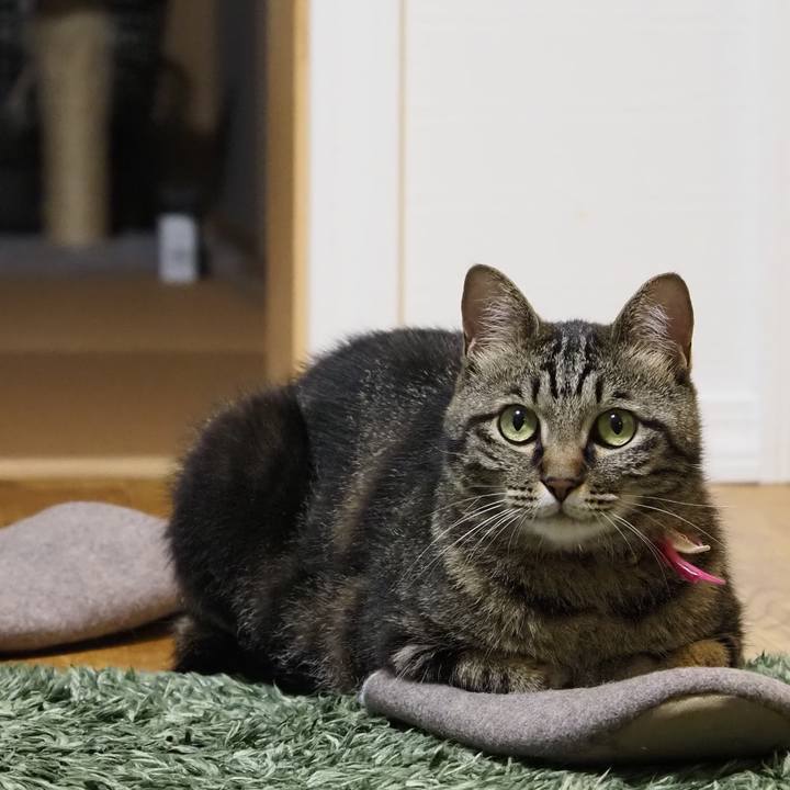 942e540a 4526 4580 b01d 12c18b5178e9 1626009469056