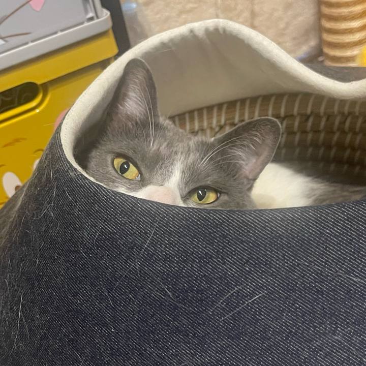 942e6f4e dd45 420f b811 012339d69451 1713001720744