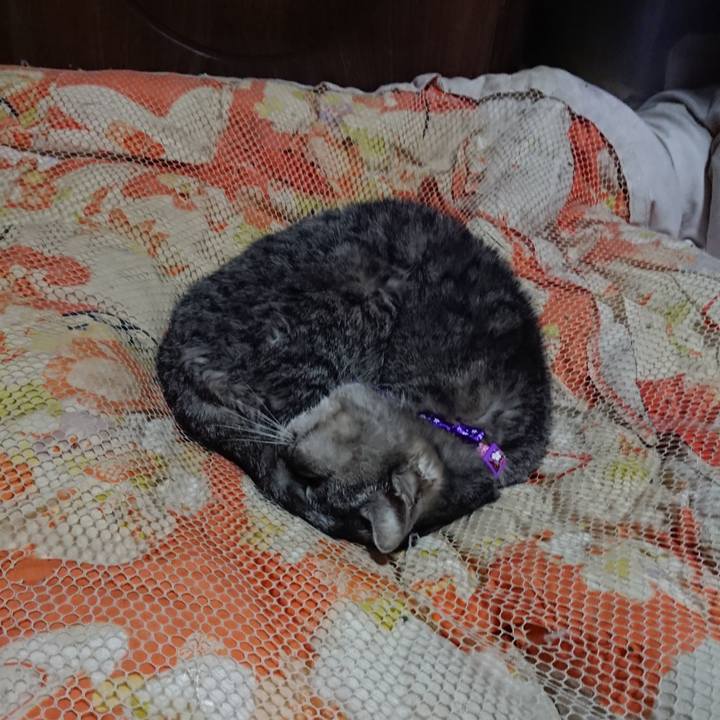 942e76d7 f5f7 4280 8fed c9663123a550 1580472268995