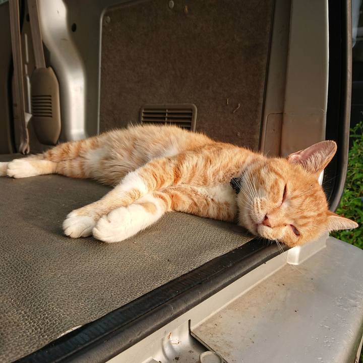 942e946f 58c6 4631 b5c9 8522d8648747 1566335242938