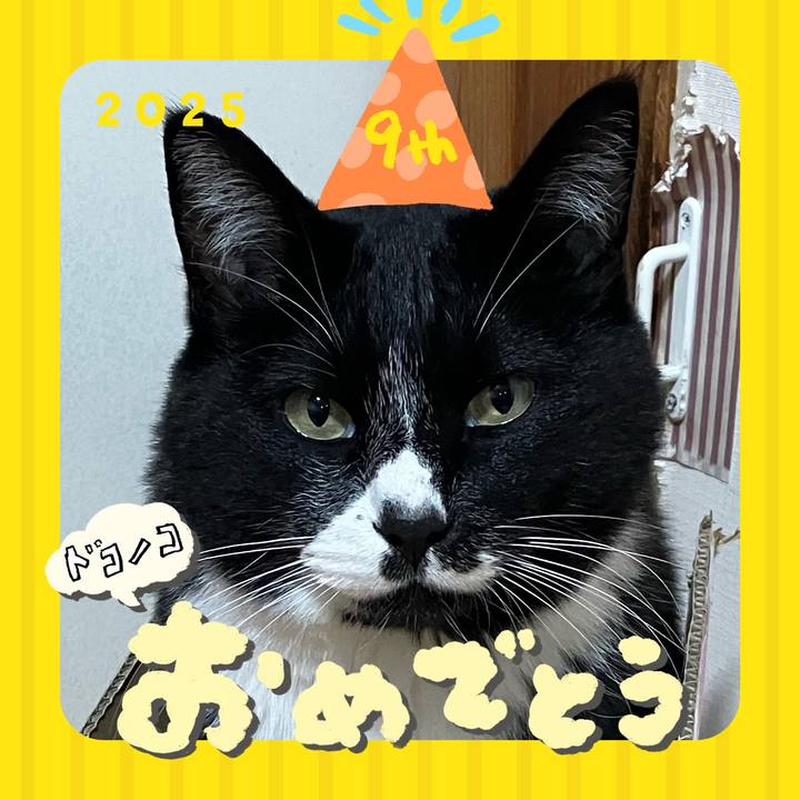 942e9a17 e1a0 4497 8316 748e39b26785 1749089666011