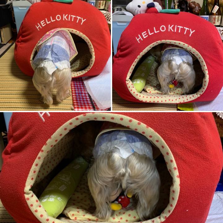 942ec0cd 92fb 488d 9fe4 5a8be909b92c 1680689268975