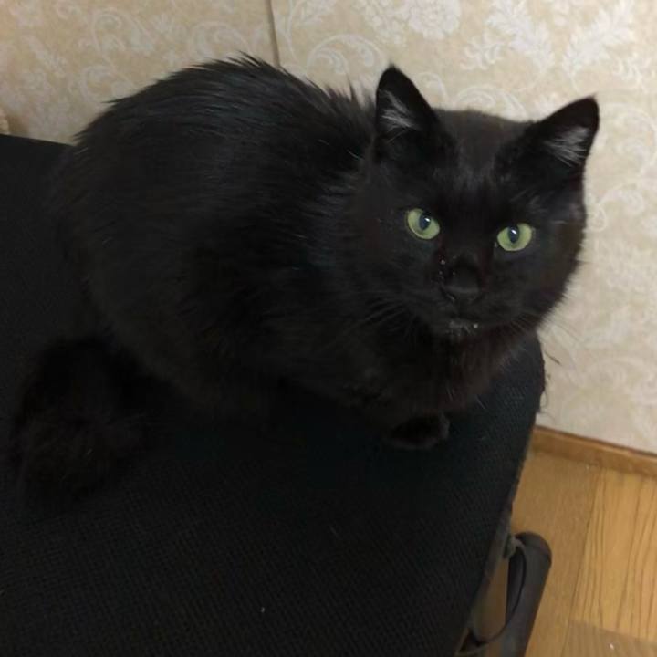 942ec5b6 73f5 43f6 b66b 492be3e186c5 1632134316996