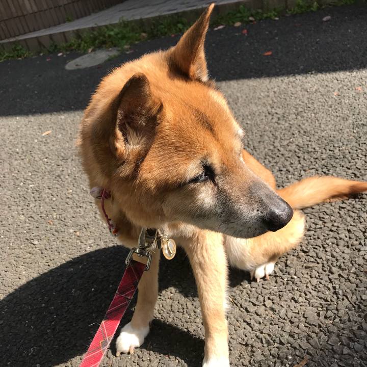 942ecede a79d 4bba 9b85 8014e201a6d7 1522455865962