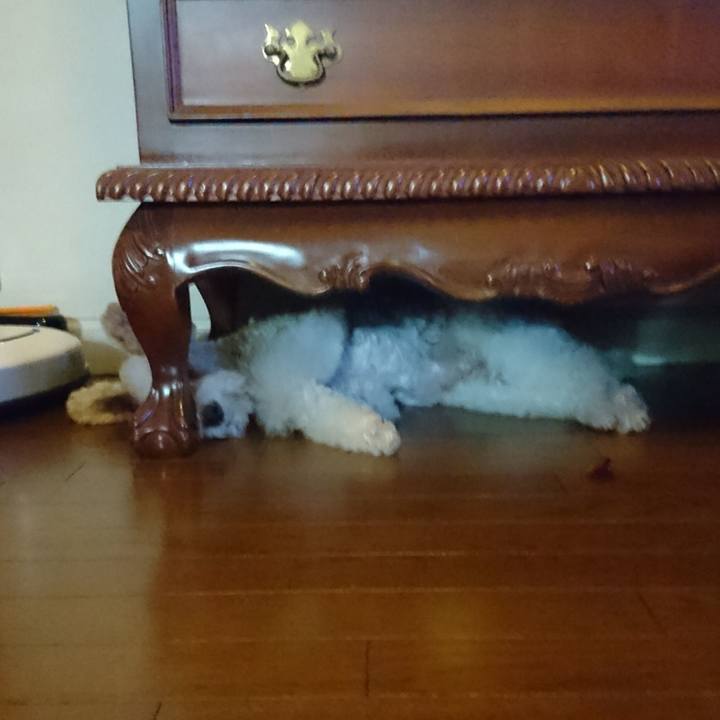 942ede90 2fbb 4ab5 8087 5dfaddfcb034 1529418006240