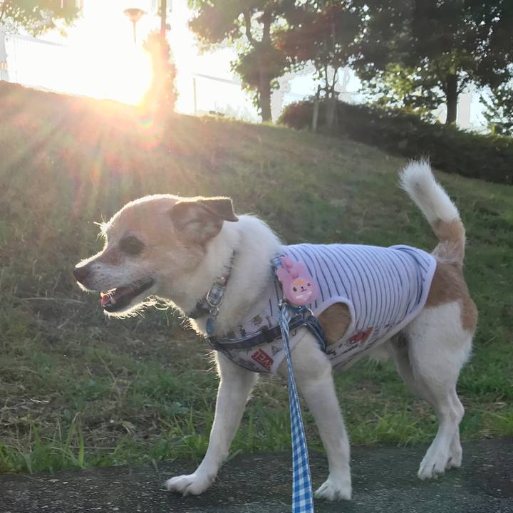 942f0125 3948 4613 97d4 c184a2e83440 1626732004447