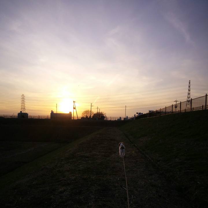 942f0138 9a9e 4a7e b730 d12f065d602f 1519733376317