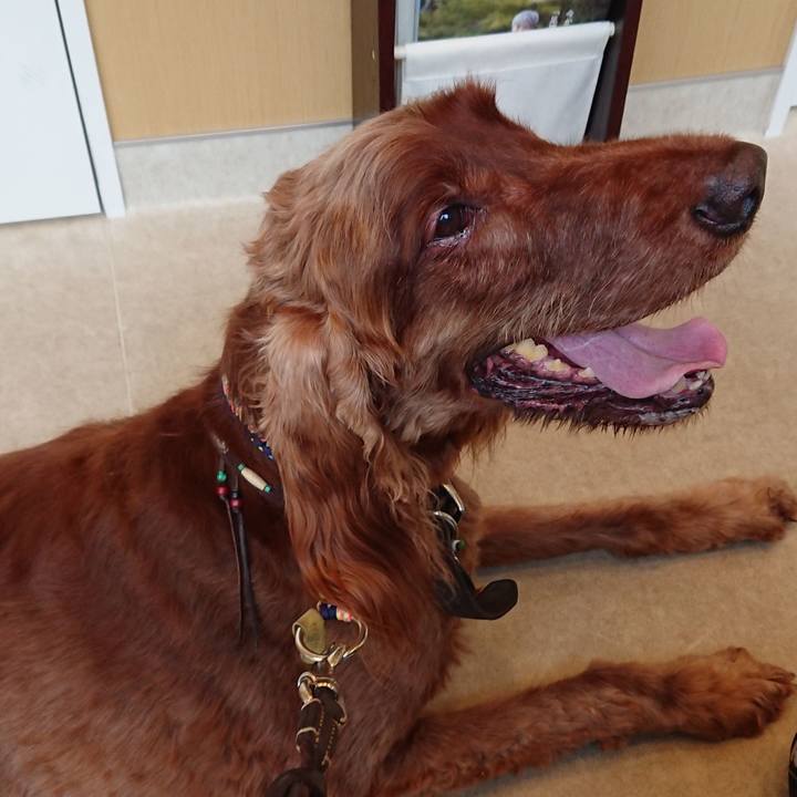 942fe2a2 69fd 4b57 a9f4 375321a11222 1539005823721