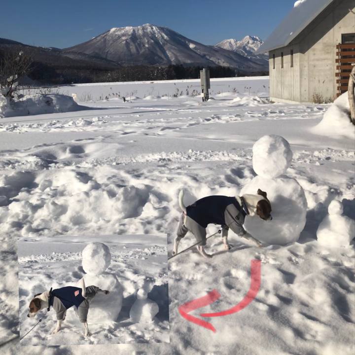 942ff2cf 3739 4ef8 8f9f 3a96eb2e244b 1546586155487