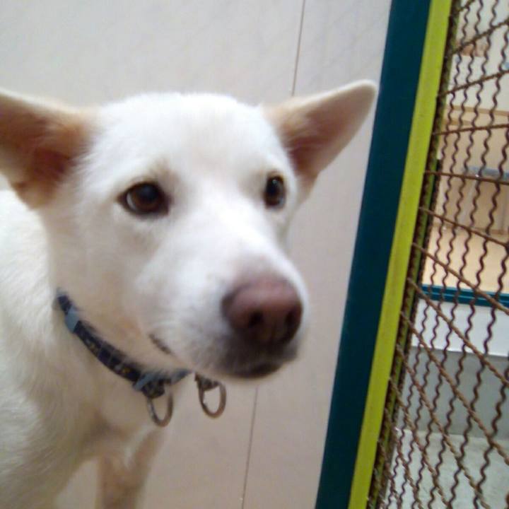 94303849 3694 4486 87df bc41b5cc4354 1534080737366