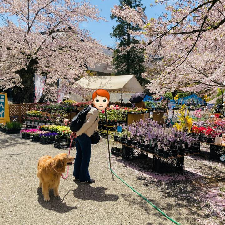 943048fa 5e6f 4d1c 9fdf 25e9a12a9afe 1745559269662