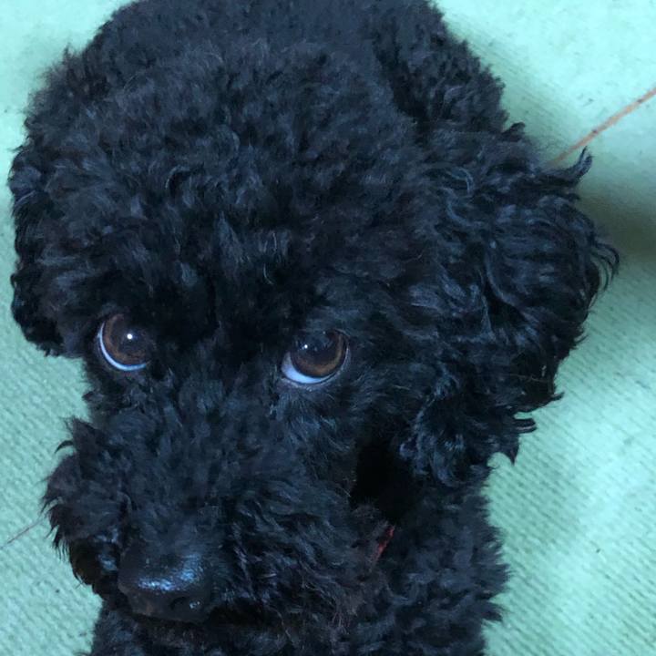 9430556b 5532 405e 96f2 9a63ab6465bb 1556535688103