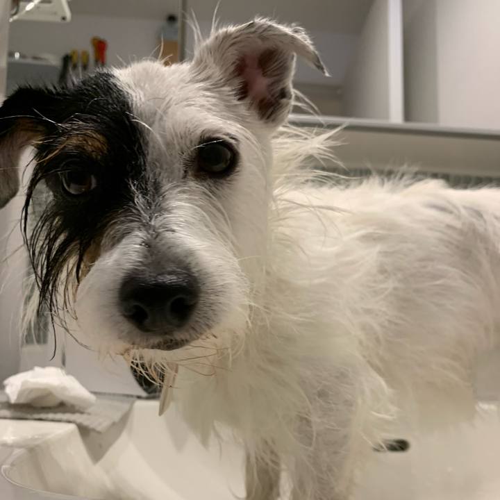 9430a310 62fc 4da8 86c0 69d2495564bf 1628840968470