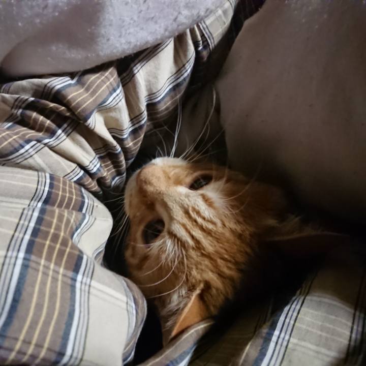 9430afb0 c4a7 45d2 9a5f 95e47886757e 1638565212954