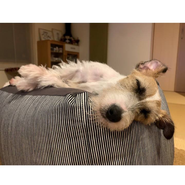 9430e871 5806 44c4 8564 5b708b157f05 1593447690530