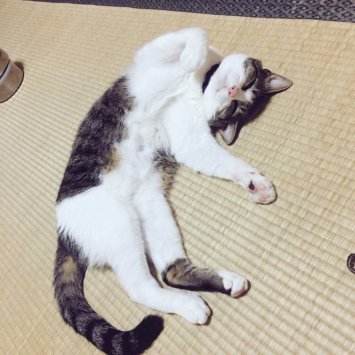 9430f7ea b507 4c9d bedb 102afcf2358a 1528461395266