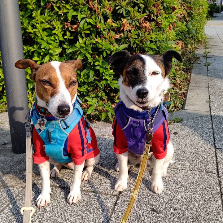 943102fe 1531 4749 ac1e a22cd5ccec1b 1652998495466