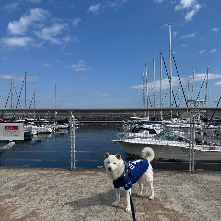 94314a2c 48e1 4af1 8db2 62fb74b80408 1773200411766