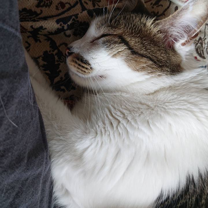 94315f08 f17a 4026 87de dd42eafd996b 1719192756325