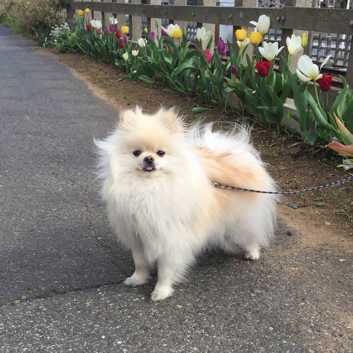 9431931f ffdf 45de a28f 1ee664203325 1522565771098