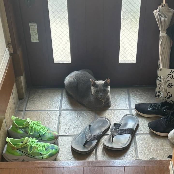 9431b352 f760 4671 8417 e22ee856c51b 1725750271388