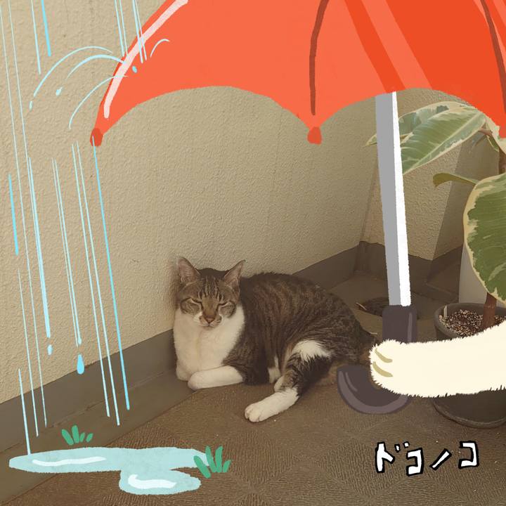 9431c8c2 2f74 497a b282 0ba88dc26bbf 1749379414168