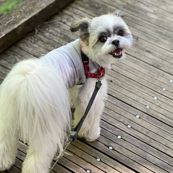 9431f72a 5e91 4eb7 89e1 37a0e46e1593 1656210126169